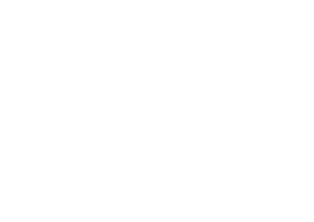 burger hannes